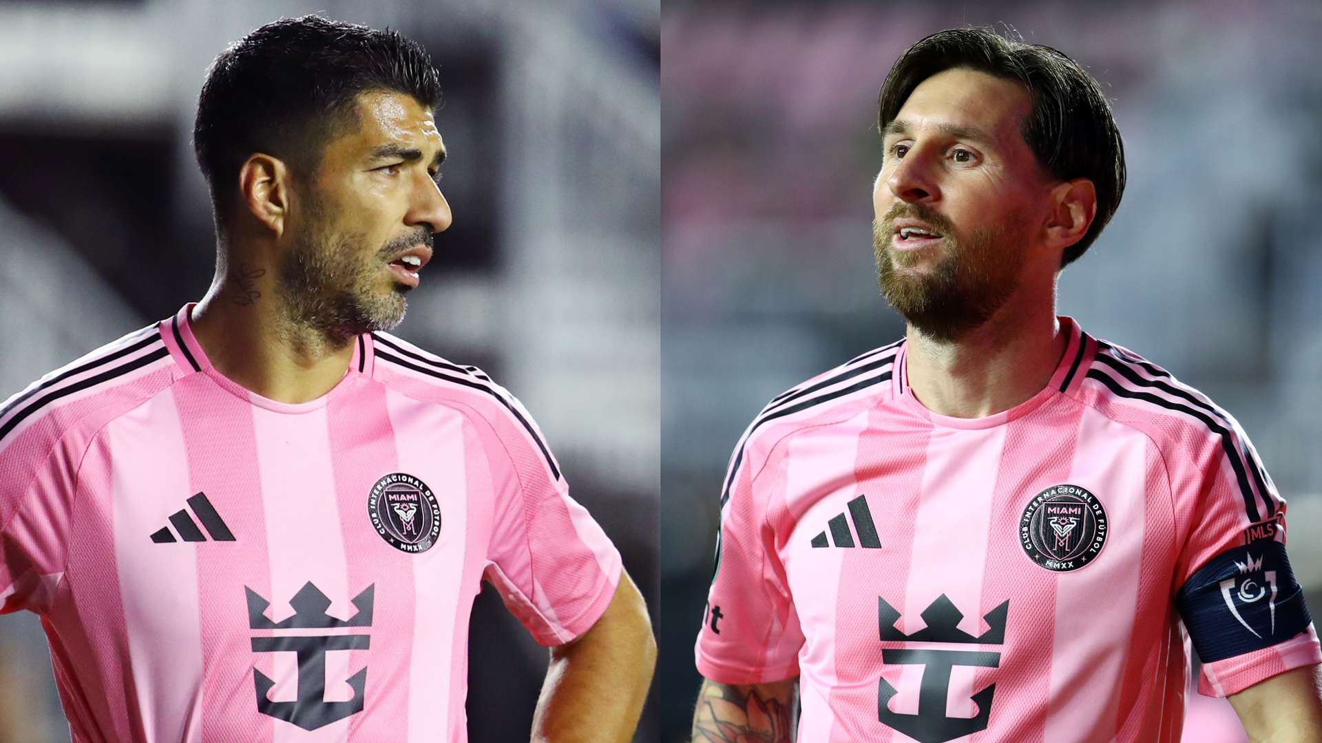 青训营也曾 青训营也曾